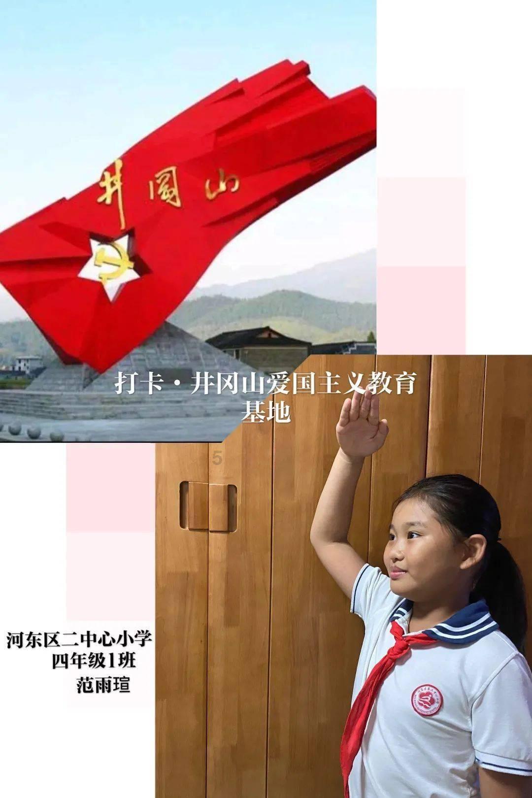 向日葵的花语有哪些？